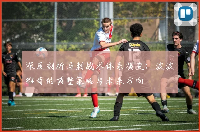 深度剖析马刺战术体系演变：波波维奇的调整策略与未来方向